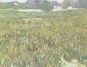 Wheat Field at Auvers with White House (nn04)
